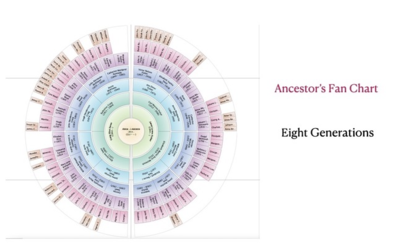 Ancestors fan chart -- 8 generations