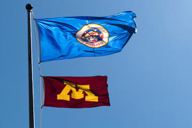 State and U of M flags
