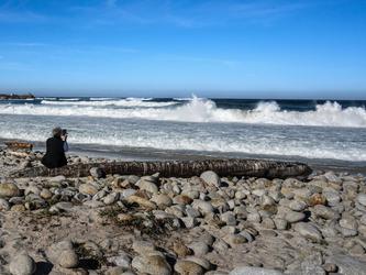 Monterey, CA November 2023. Photo by Patricia Brennecke